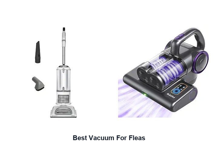 A modern vacuum cleaner resting on a clean floor to remove household fleas.