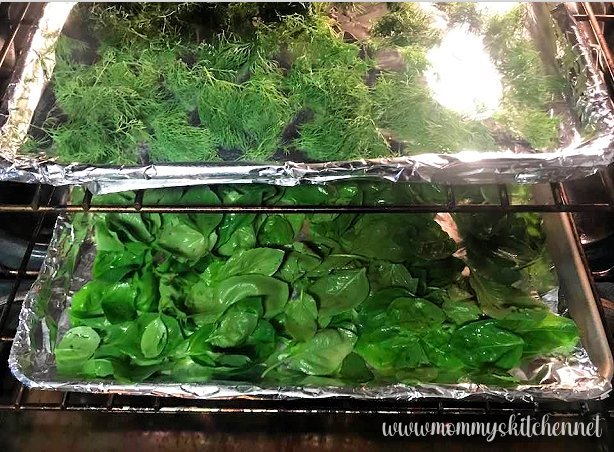 Assorted fresh green herbs being prepared for drying in a bright home kitchen.