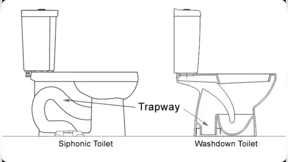 European Toilets Vs American