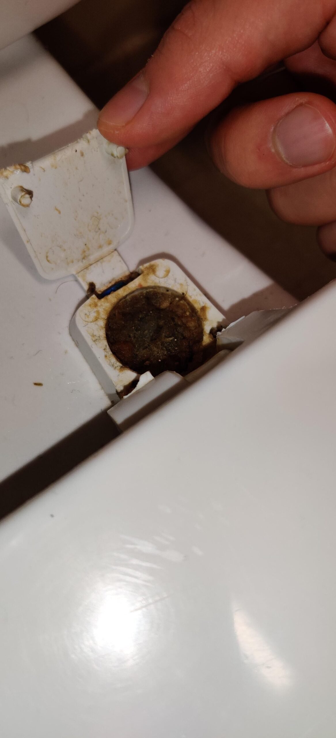 Hands holding standard tools to perform maintenance on toilet seat hinge bolts.