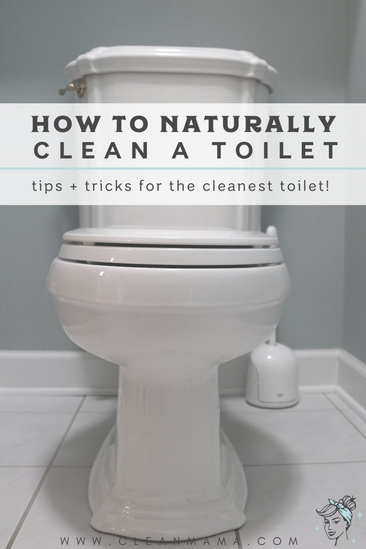 Hands preparing to clean a toilet seat using safe and natural cleaning methods.