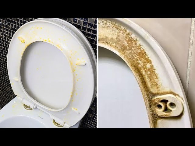 Essential cleaning supplies for removing toilet seat stains arranged on a bathroom counter.