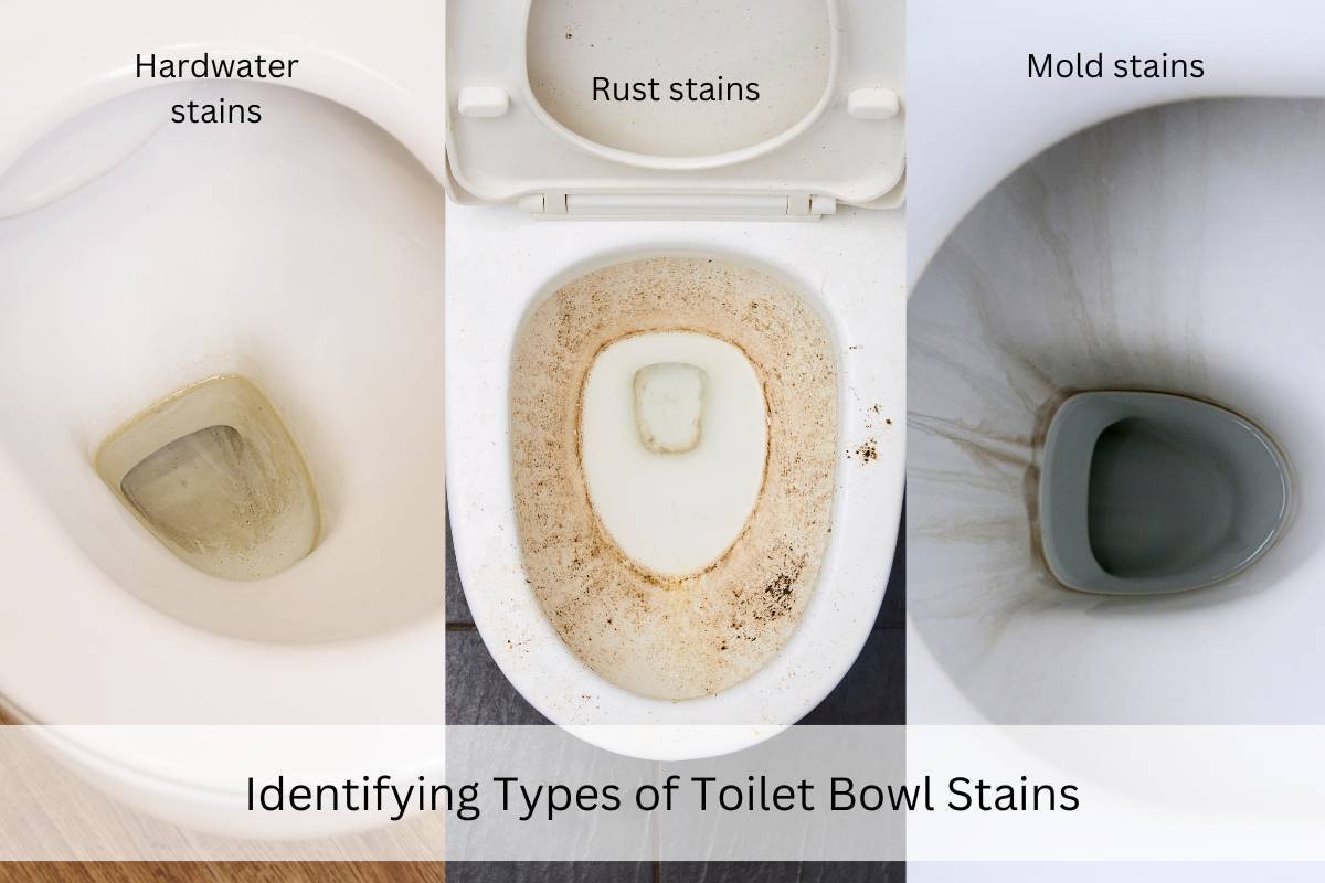 A person in a bright bathroom looking at information about toilet seat maintenance.