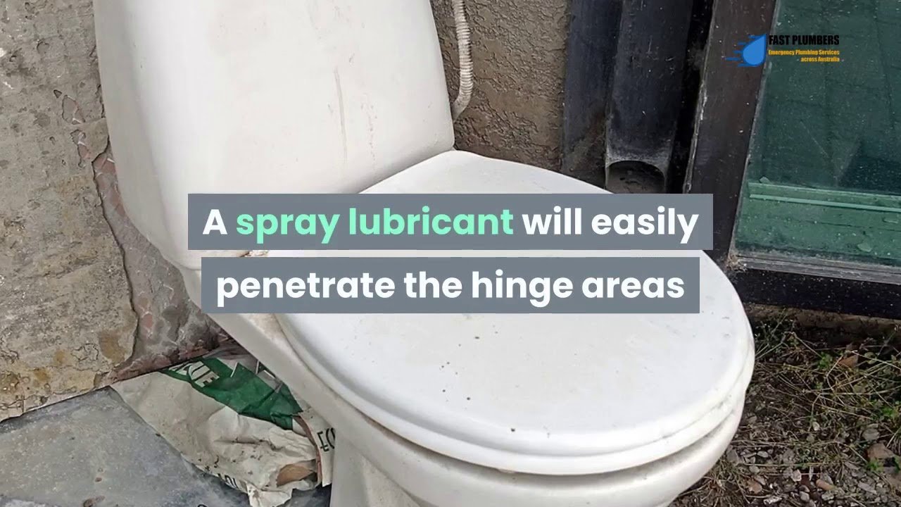 Cleaning supplies for a toilet seat sit on a bathroom vanity.
