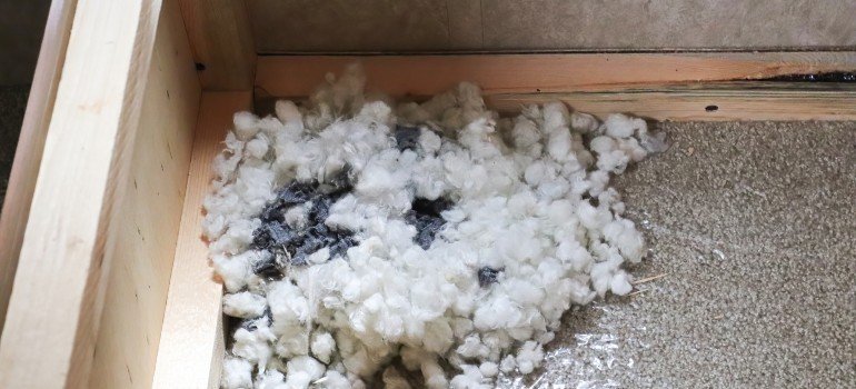 Shredded foam and nesting materials found inside the torn underside of a sofa.