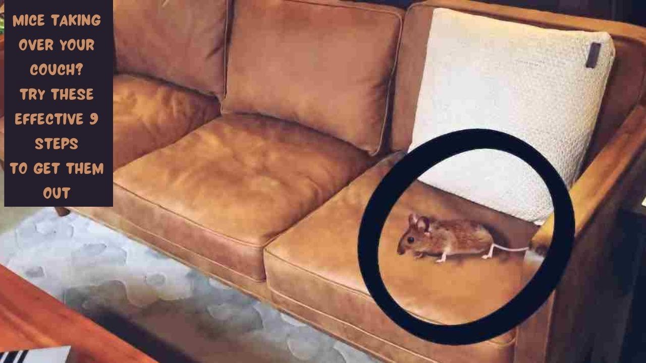 Cleaning the internal frame of an overturned sofa with a vacuum cleaner.