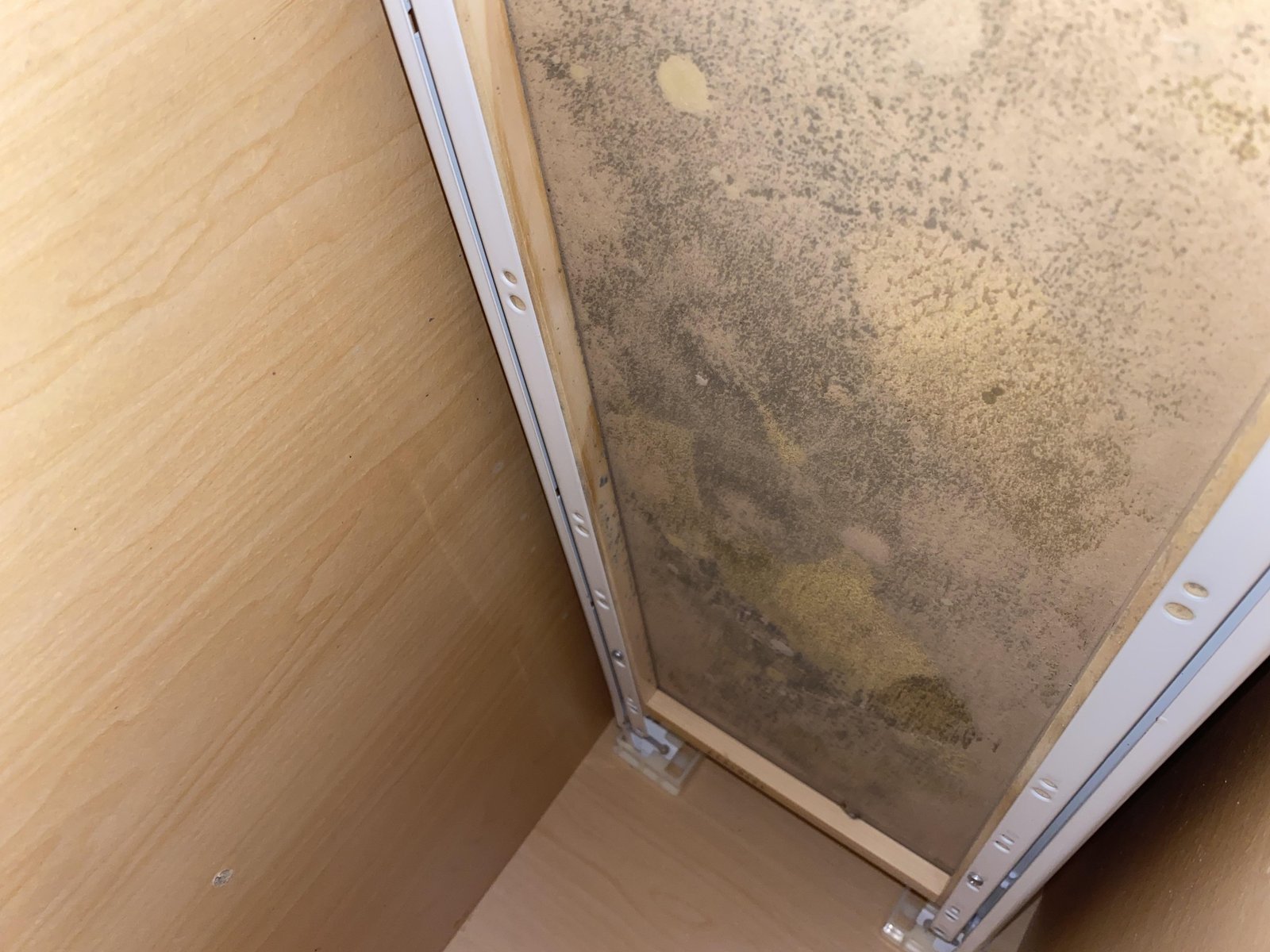 Damp dark corners inside a wooden kitchen cabinet showing signs of moisture buildup.