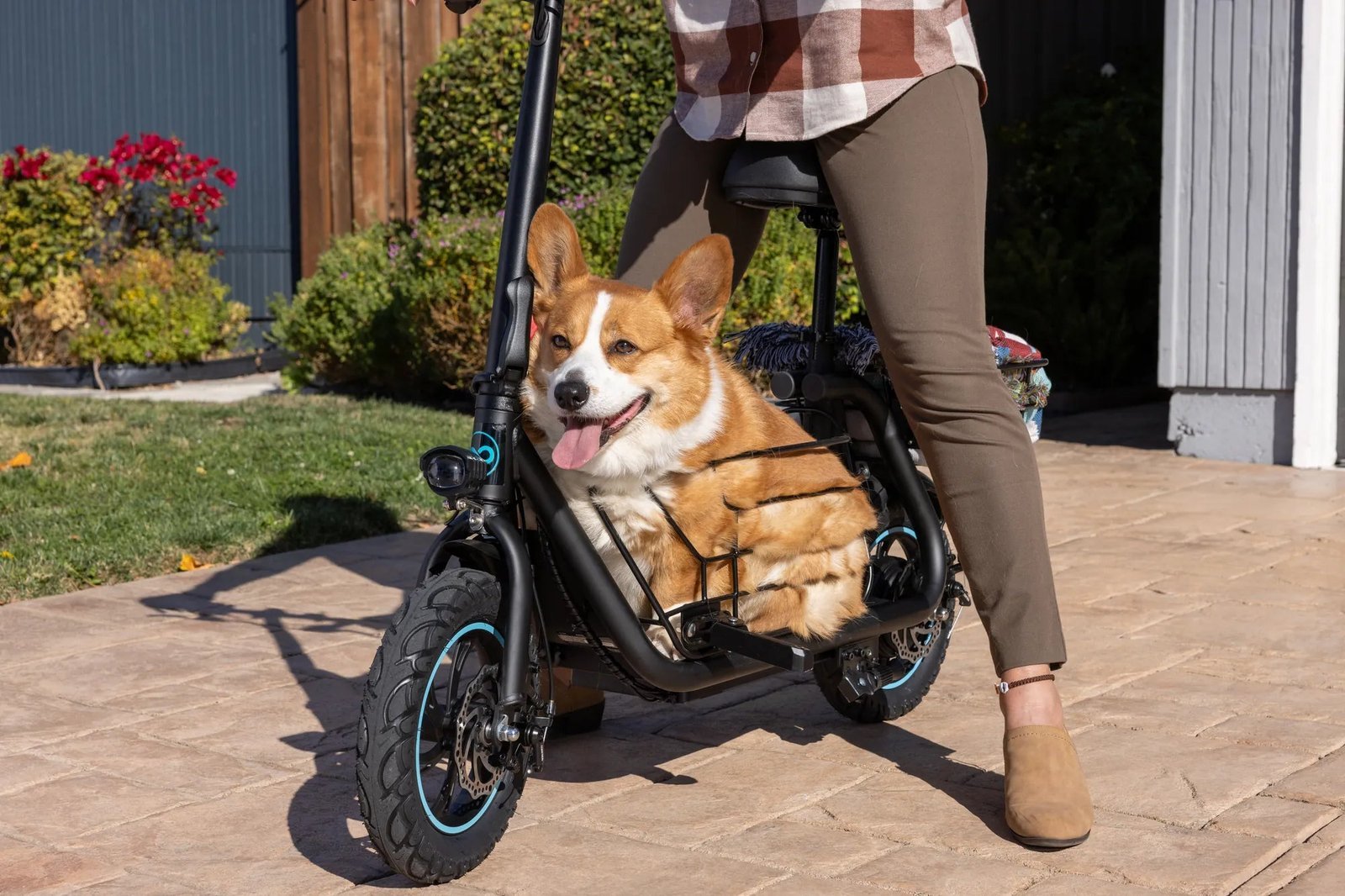 Testing the handlebar stability of a newly built scooter to ensure safe operation.