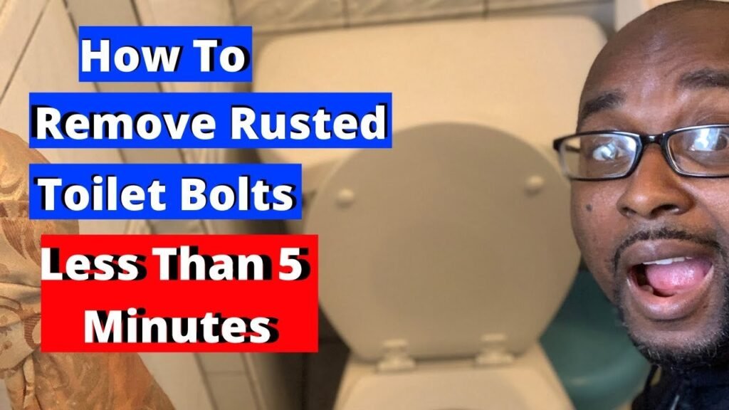 A close-up view of rusted toilet seat bolts needing repair in a bathroom.