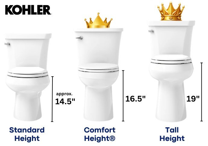 A person evaluating a toilet chair and a comfort height toilet for bathroom accessibility.