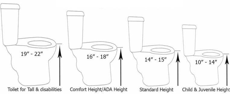 A standard toilet and a comfort height toilet displayed side by side.