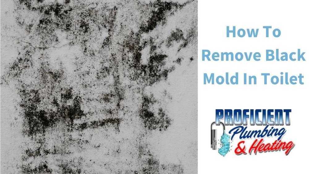 What Causes Black Mold In Toilet Bowl