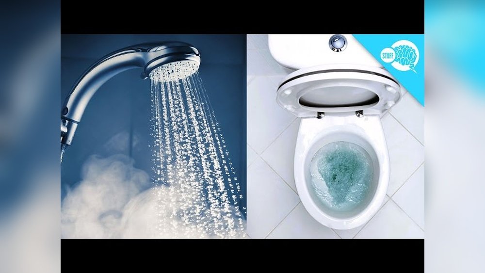 What Happens When You Flush The Toilet While Showering