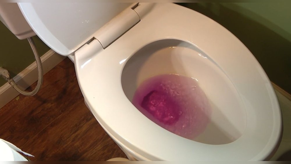 Why Is My Toilet Water Pink