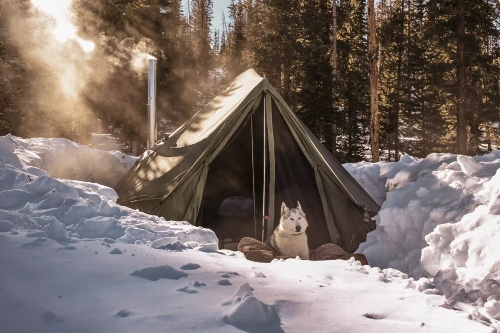 best tent for extreme cold weather in snowy mountain setting
