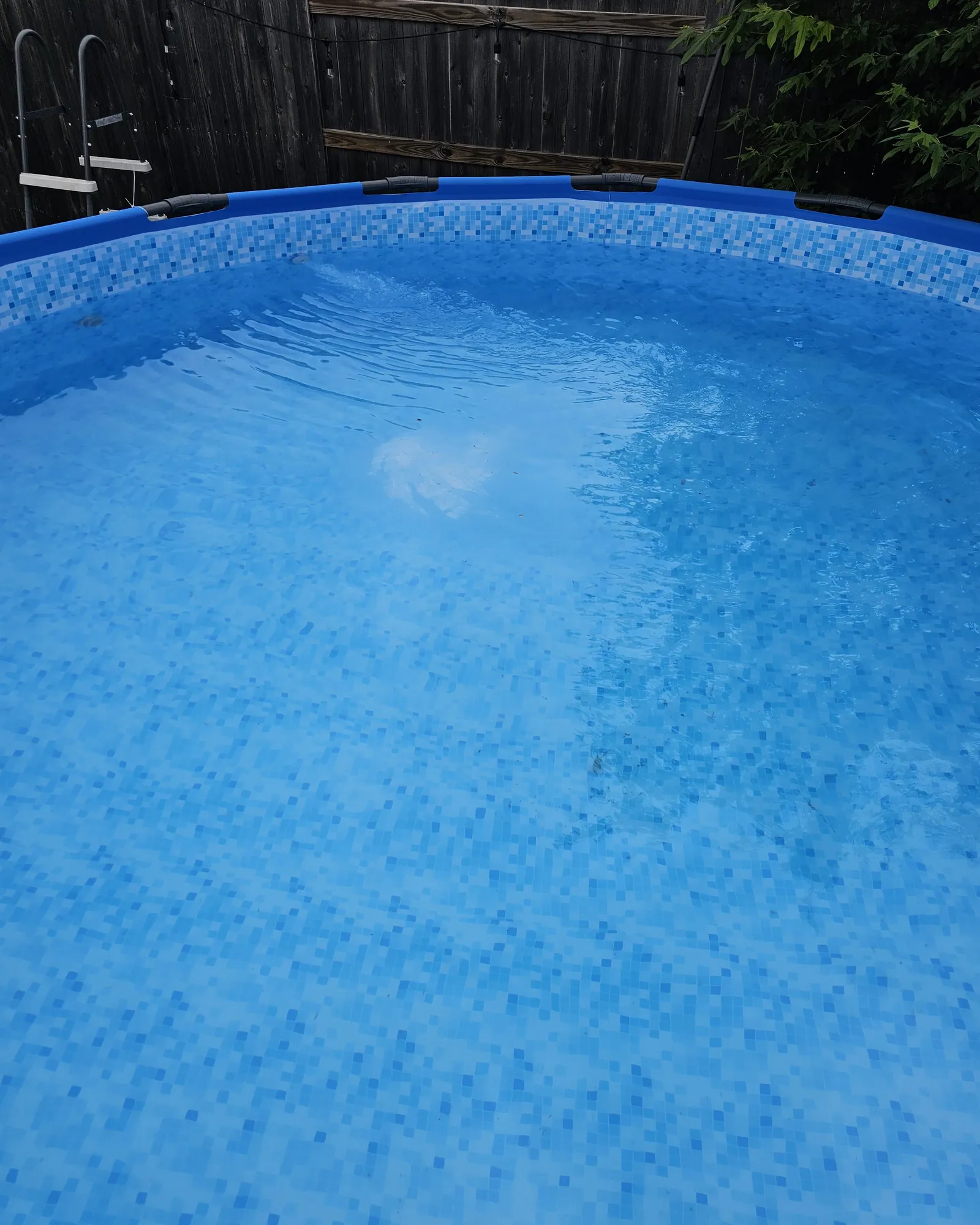 Close up of yellow pollen dust on a pool wall near water.