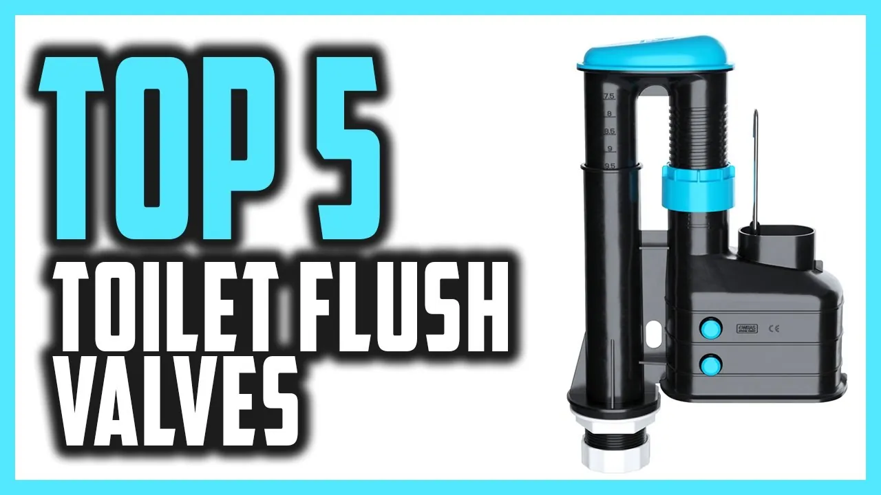 Comparing 2-inch and 3-inch flush valve seals to determine the correct size.