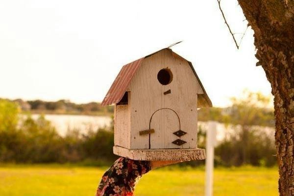 A handcrafted cedar wood birdhouse hanging in a lush garden serves as the best wood for birdhouse projects.