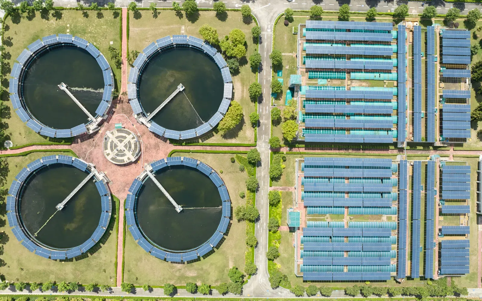 Homeowner checking pool chemistry with a bottle of chlorine near a blue swimming pool.