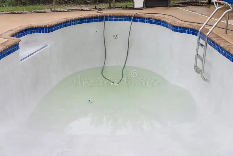 Homeowner considering long term durability when choosing a pool finish.