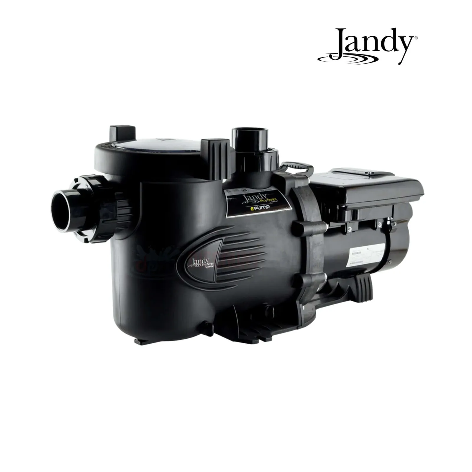 Jandy pump shown next to an incompatible sandless media filter system.