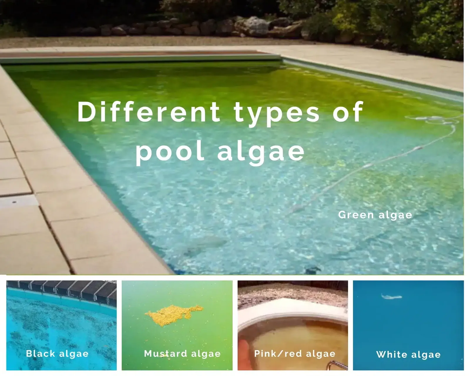 Metal stain disappearing from pool liner when treated with powder.