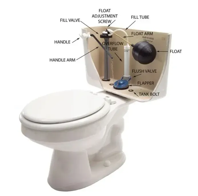 A person performing maintenance by replacing a flush valve inside a toilet tank.