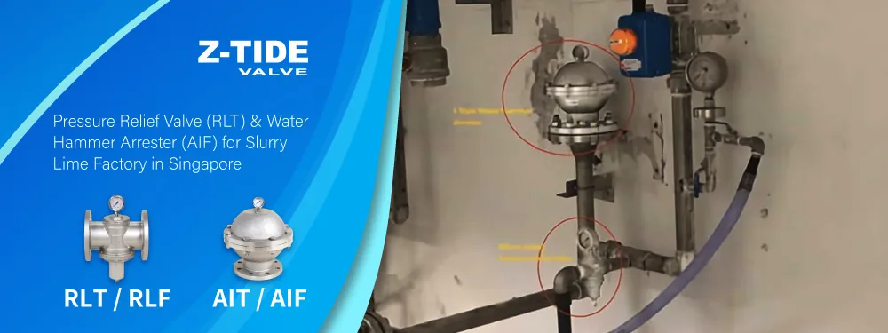 A pressure reducing valve and water hammer arrestor compared side by side.
