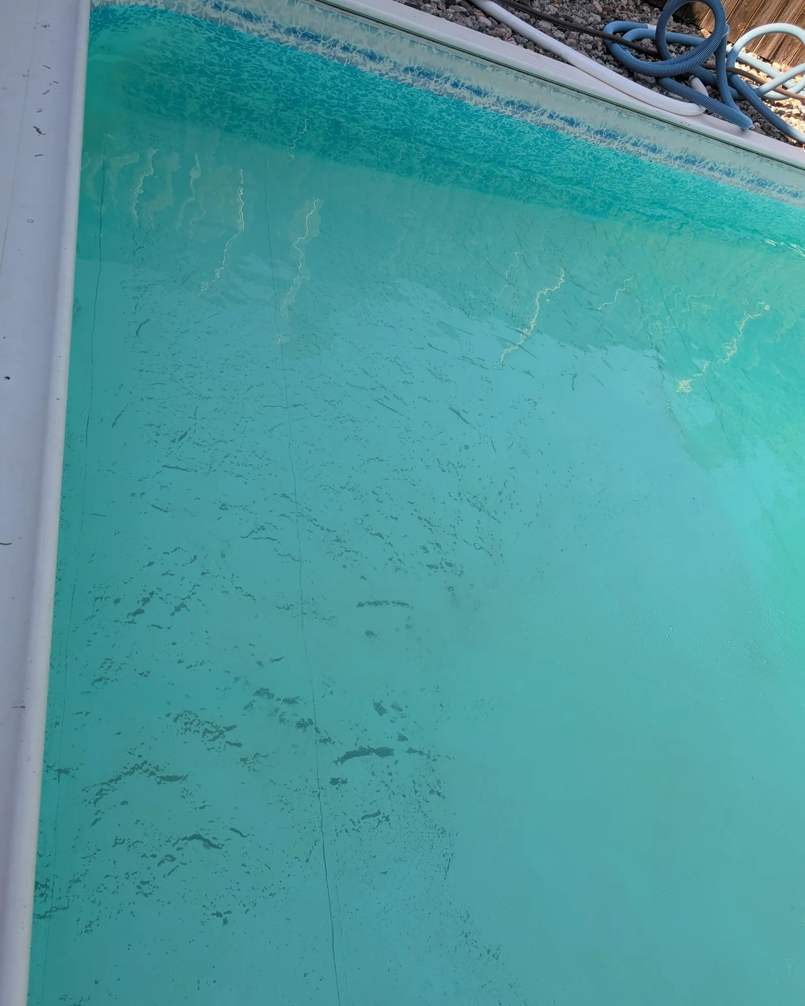 Saltwater chlorine generator and pump equipment sitting by a pool.