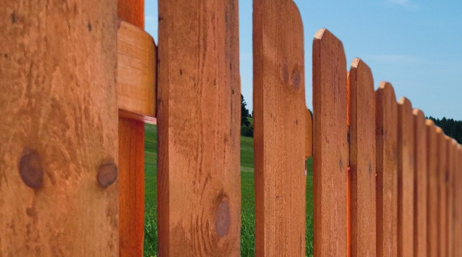 Selection of premium wooden fence planks displayed in a sunlit outdoor garden setting.