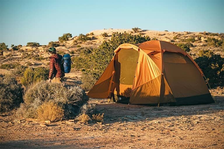 A sleek camping tent set up in a peaceful forest clearing with soft sunlight