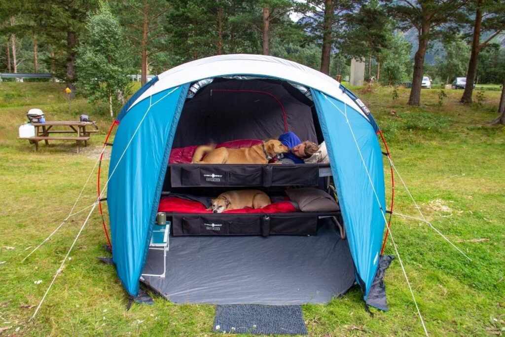 A spacious camping cot designed for big and tall campers on a forest floor at dusk