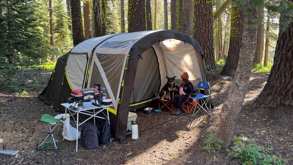 Two-person tent set up in a peaceful forest clearing during sunset