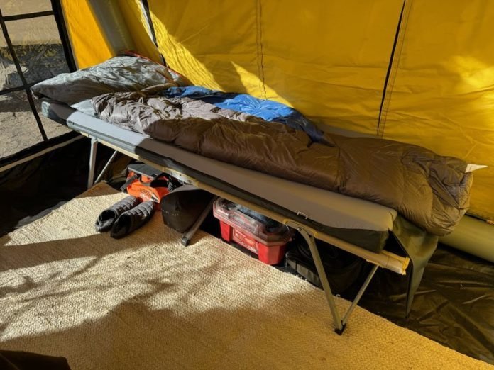 An XL camping cot set up in a peaceful forest clearing with morning light