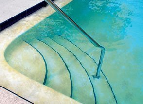 Yellow-green mustard algae growing on a swimming pool wall surface.