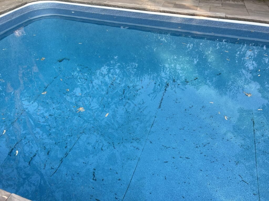 Yellow pollen dust settles on blue pool steps in a sunny backyard.